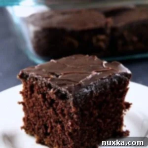 One-Bowl Chocolate Cake with Fudge Icing