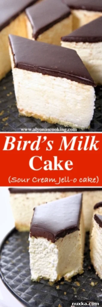 Bird's Milk Cake (Ptichye Moloko) slice showing layers of sponge, mousse, and ganache