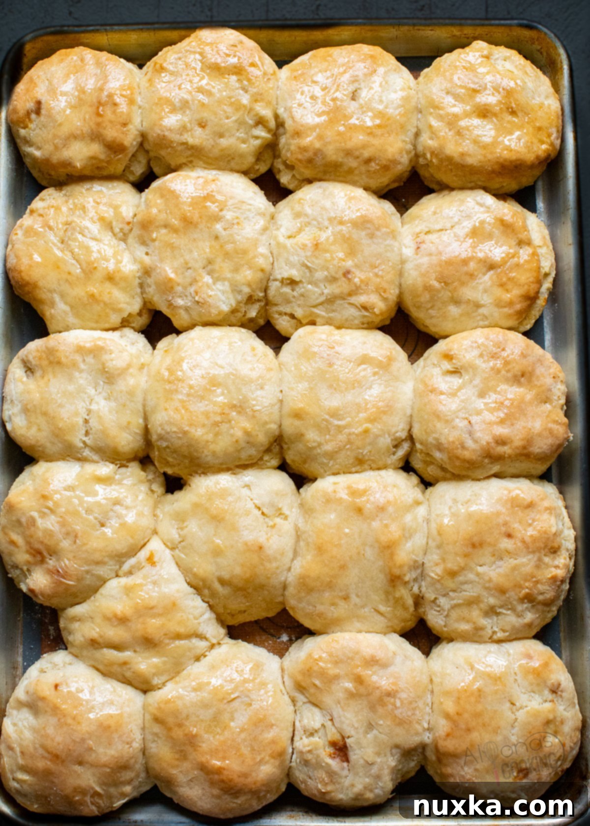 sheet pan soft biscuits
