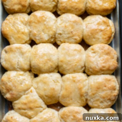 sheet pan soft biscuits