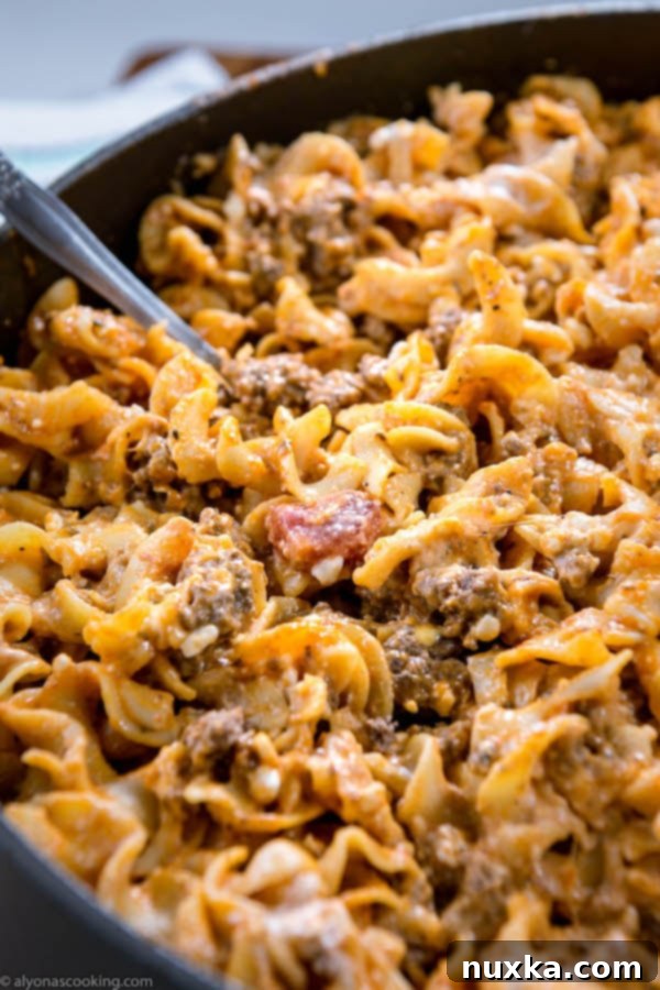 Serving of creamy One-Pan Beef Stroganoff with egg noodles on a plate
