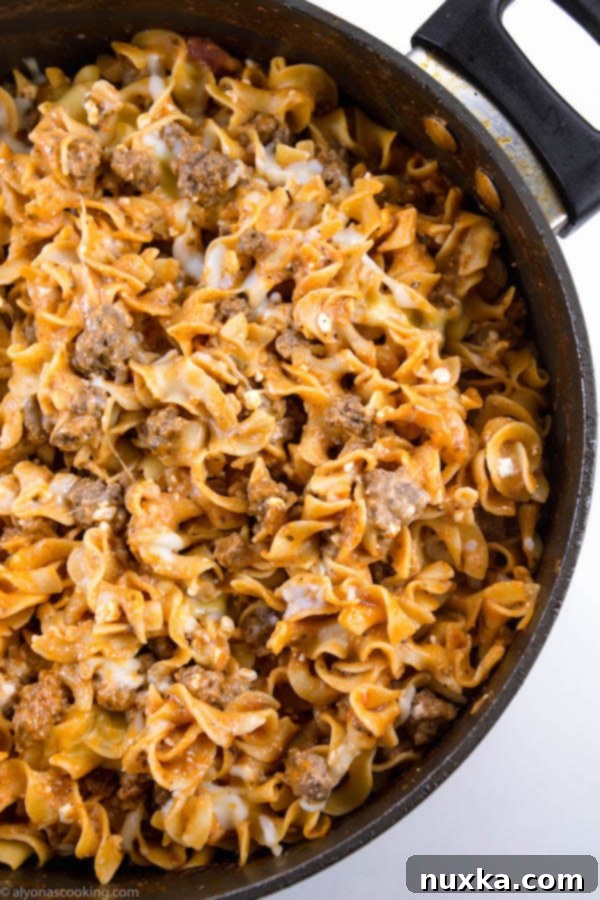 Top-down view of One-Pan Sour Cream Egg Noodles Beef Stroganoff in a large skillet