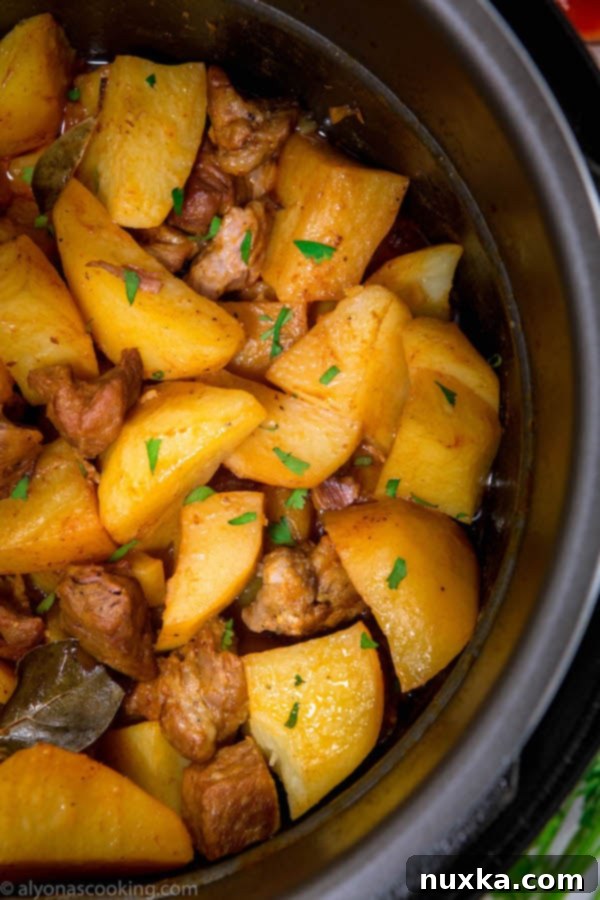 A generous serving of cooked stewed potatoes and meat in a Power Cooker pot