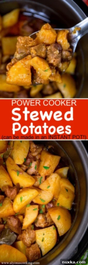 An assortment of fresh ingredients for a hearty potato stew, including potatoes and seasonings