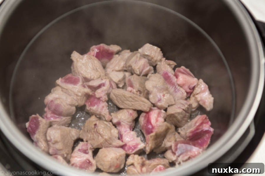 Power Cooker with potato and meat stew ingredients inside, ready for pressure cooking