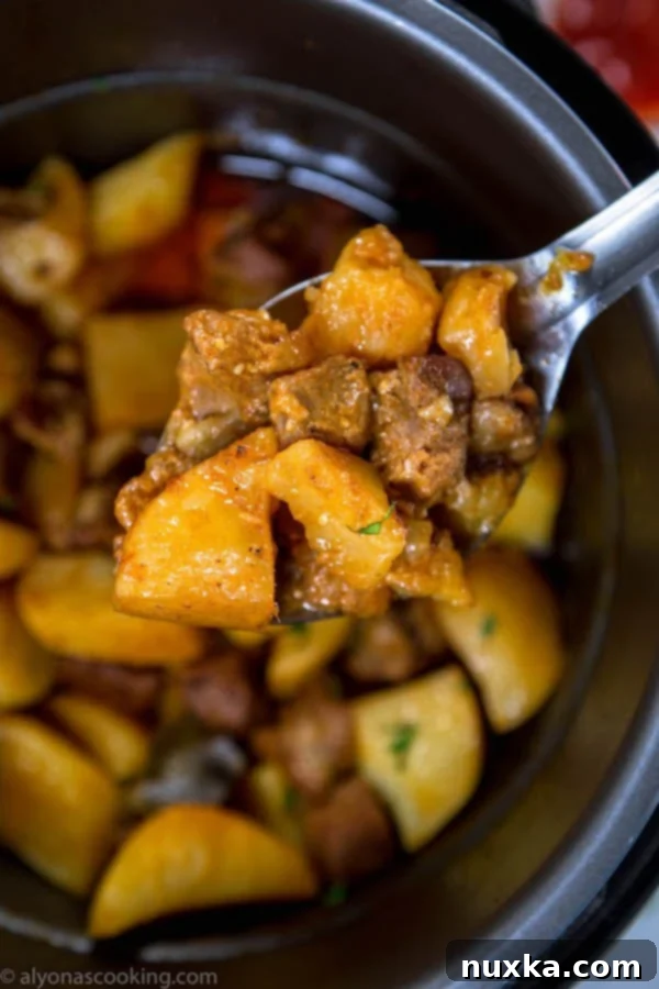 A delicious serving of Ukrainian stewed potatoes and meat in a bowl, ready to eat