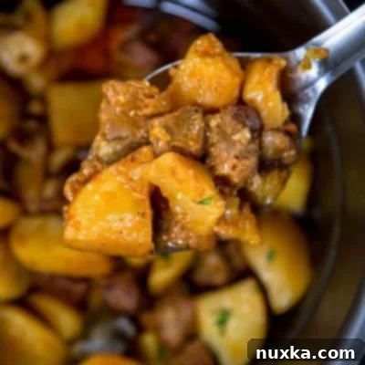 Plate of rich and creamy stewed potatoes with meat, ready to eat