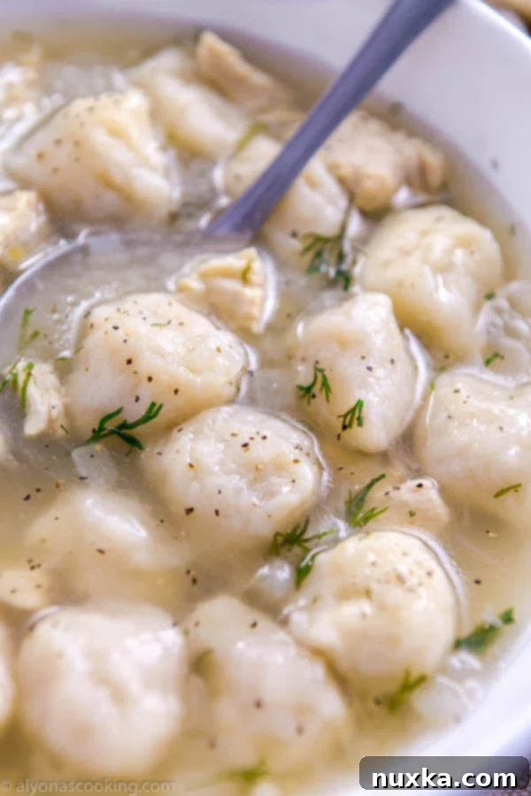 A bowl of delicious chicken and dumpling soup, a perfect family meal