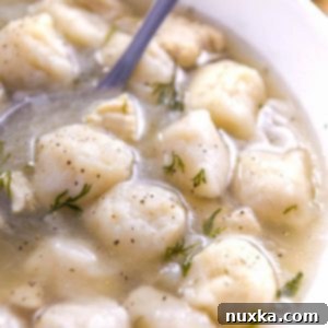 Comforting Chicken and Dumpling Soup 11 A top-down shot of the finished chicken and dumpling soup