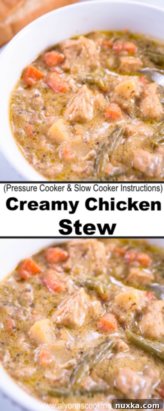 chicken-stew-recipe-creamy-chicken-stew-crockpot-or-one-pot-recipe-pressure-cooker-recipe-alyonascooking-