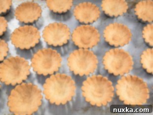 Mini tart shells baked to a golden brown in their molds.