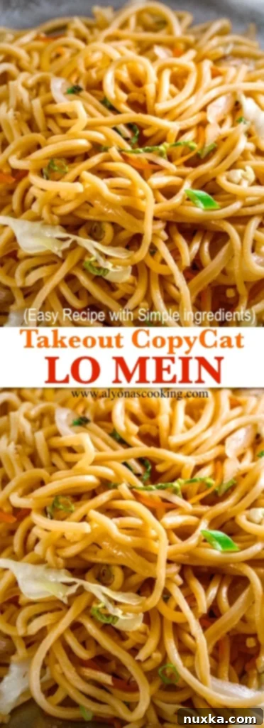 lo-mein-copycat-takeout-recipe-easy-lo-mein-alyonascooking-lo-mein-recipe-