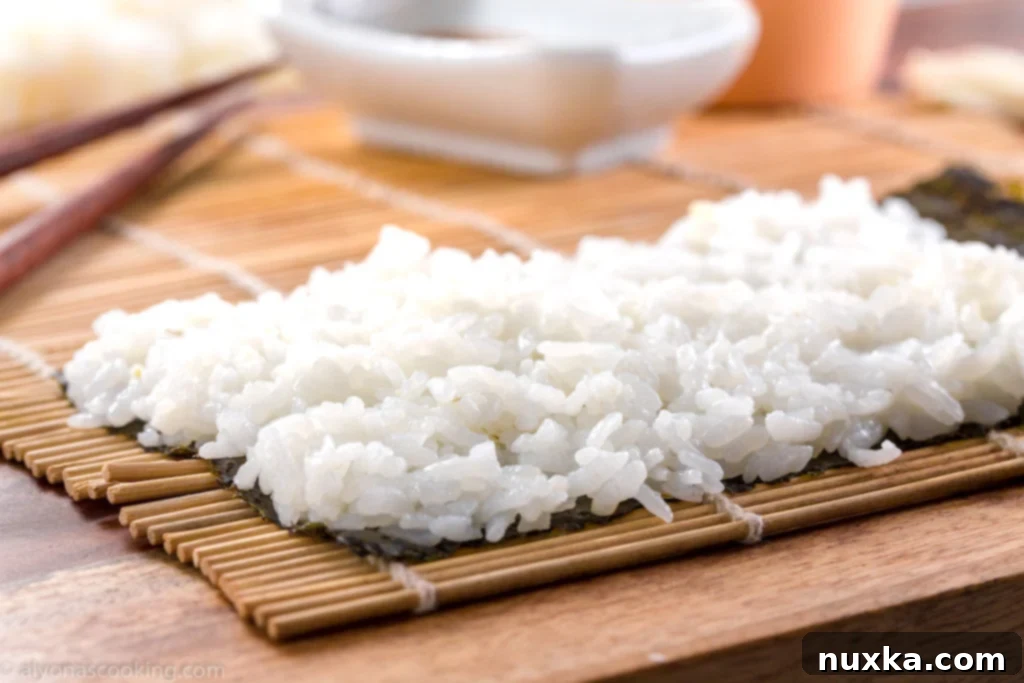 Close-up of freshly cooked and seasoned sticky sushi rice, ready to be used.