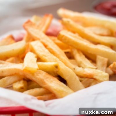 french fries in red woven basket with ketchup