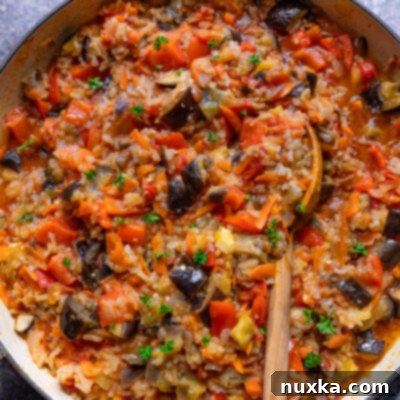 Delicious Fried Eggplant with Vegetables and Rice 5 chunky fried eggplant recipe with tomatoes and vegetables in a pan