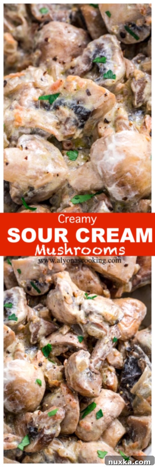 creamy-sauteed-mushrooms