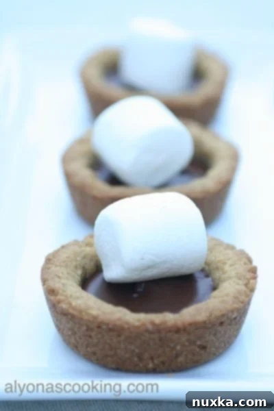 Delicious Starbucks-inspired S'more Tart, ready to be enjoyed