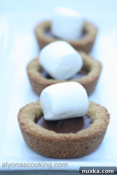 Finished S'more Tart, a perfect Starbucks copycat treat