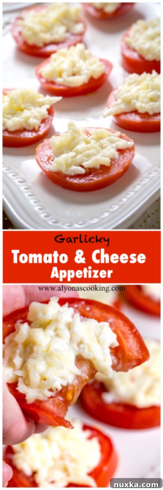 Appetizer platter of tomato and cheese bites ready to serve