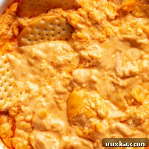 creamy buffalo chicken dip recipe
