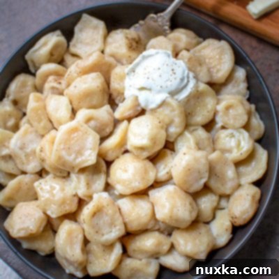 Pelmeni Russian Meat Dumplings 5 pelmeni dumplings with sour cream