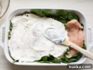 creamy sauce for spinach chicken casserole