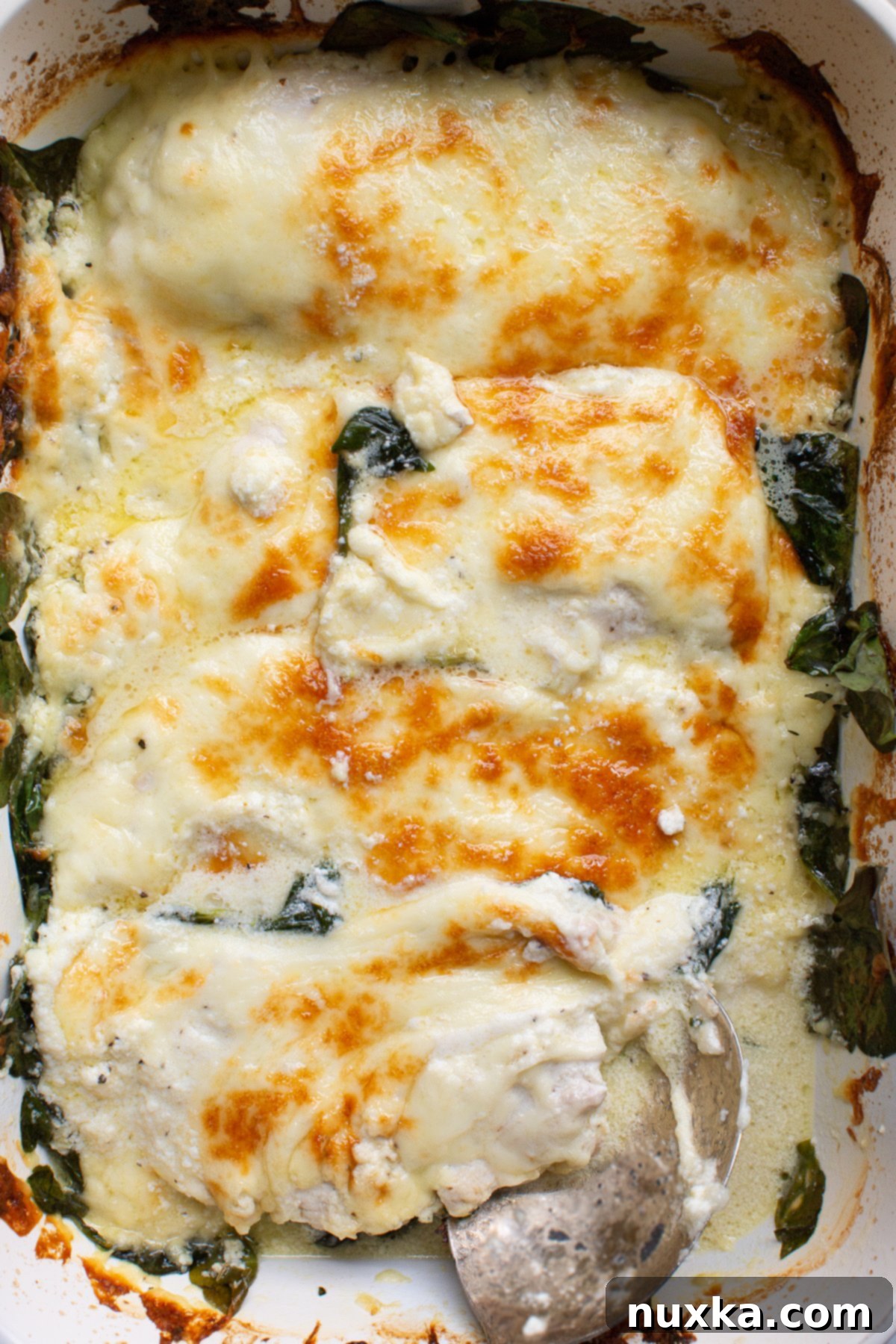 Baked Creamy Spinach Chicken Casserole, freshly out of the oven with a golden cheese crust