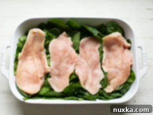 assembled chicken breasts for creamy spinach chicken casserole