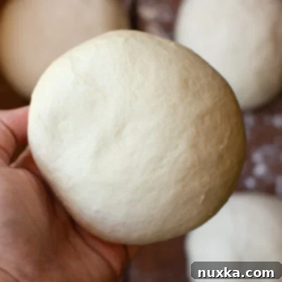 Easy Homemade Pizza Dough 2 how to make a pizza dough recipe like New York Pizza