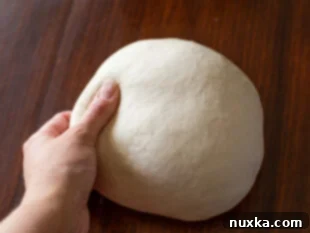 pizza dough ball