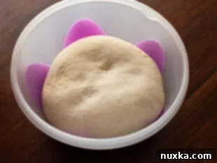 pizza dough in a food container