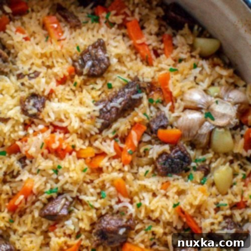 A finished serving of Ukrainian Beef Plov, a hearty rice dish with tender beef.