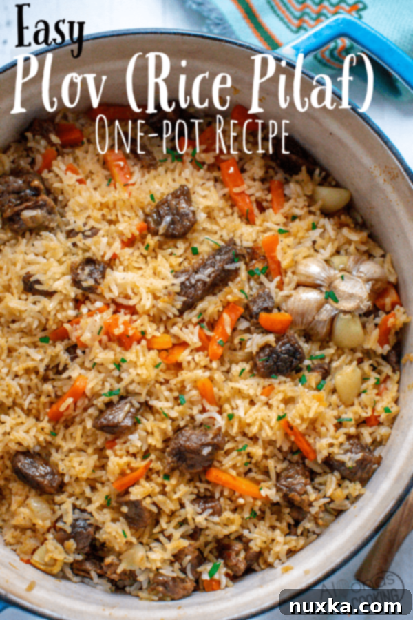 A final close-up image of the prepared Ukrainian Beef Plov, ready to serve.