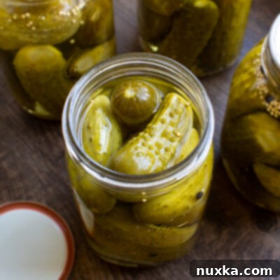 homemade canned dill pickles