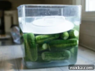 submerged cucumbers in salt brine