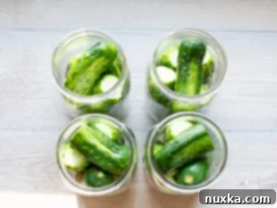 packed canning jars with cucumbers and spices for pickles