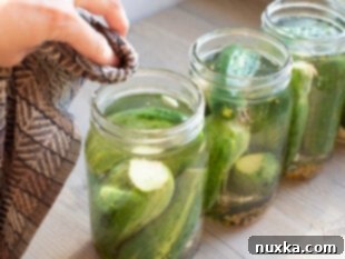 jars filled with pickle brine