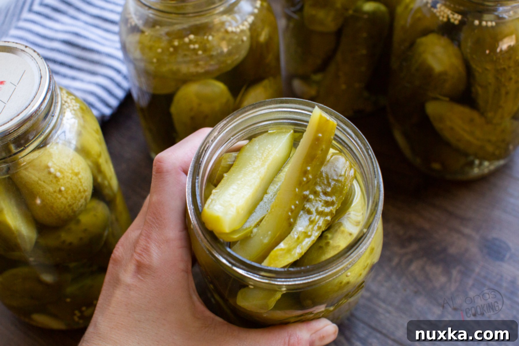 canned dill pickle spears 