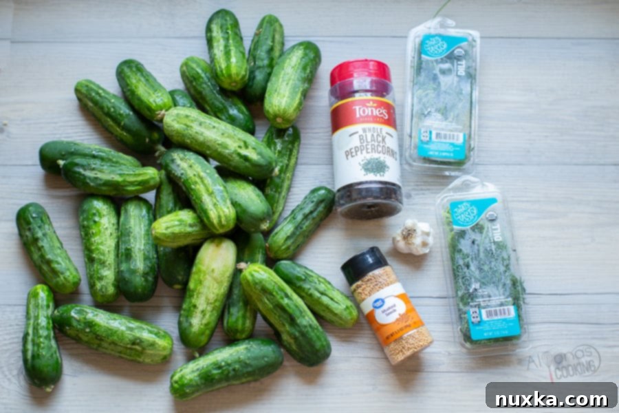 ingredients for homemade canned dill pickles 