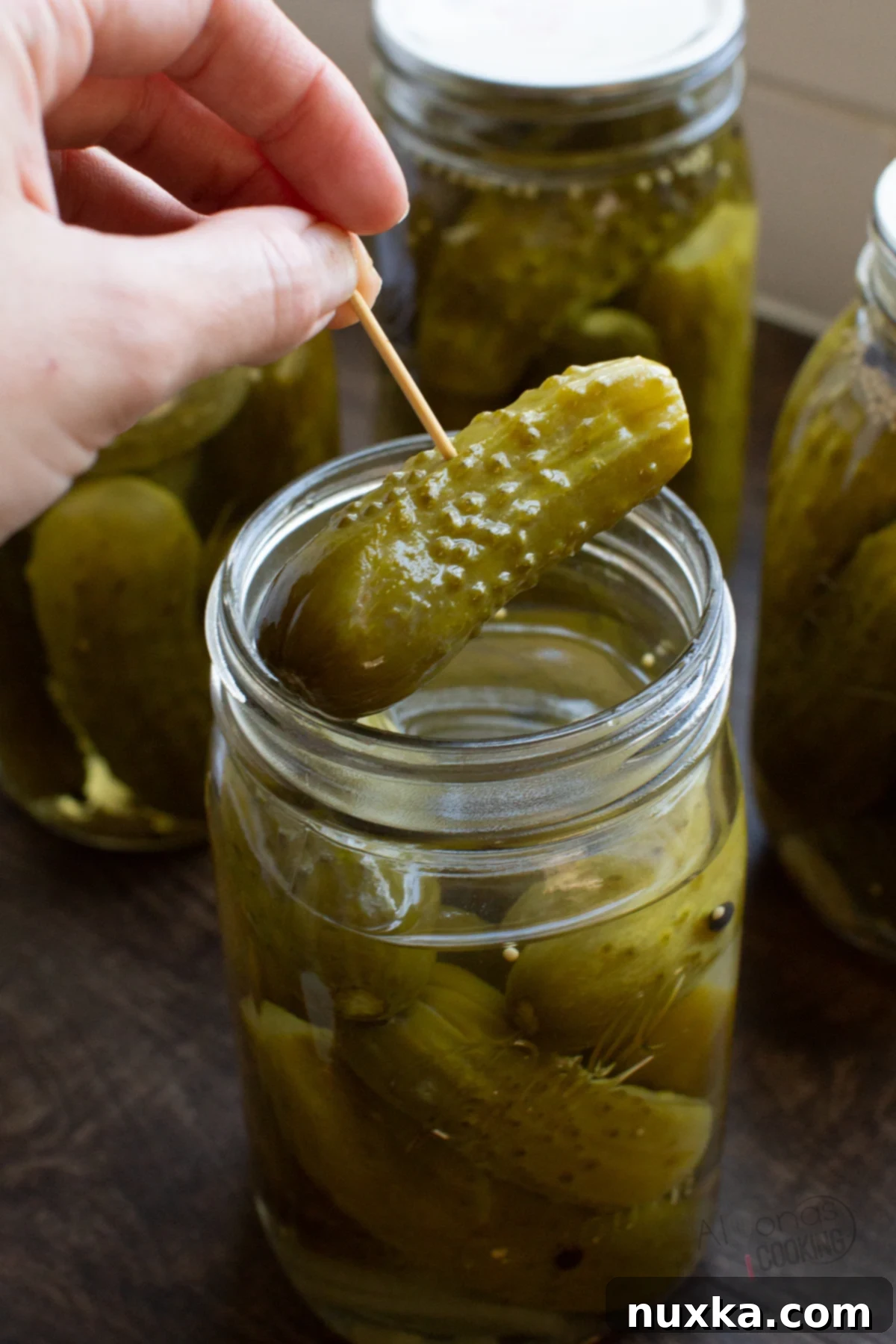 crunchy canned dill pickles 