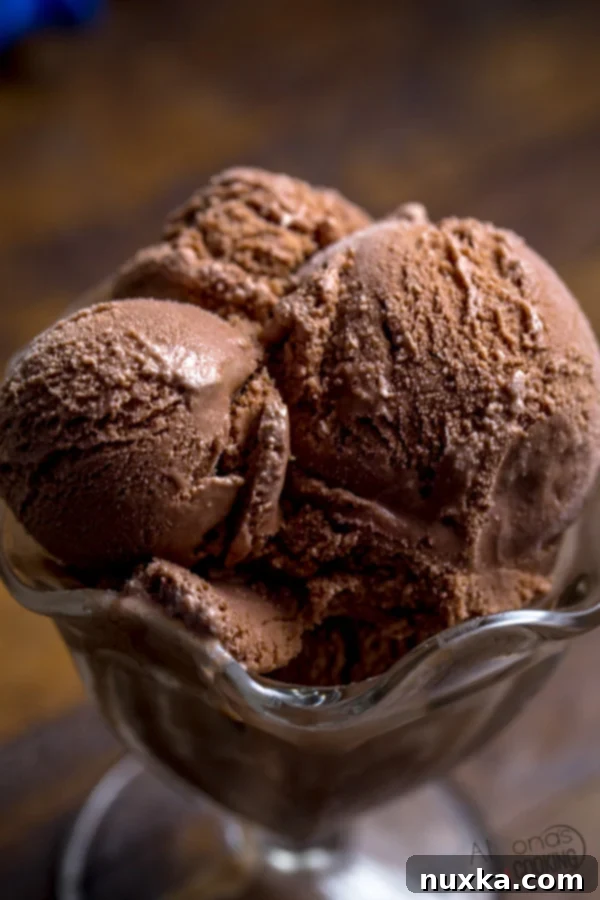 Rich, homemade chocolate ice cream in a bowl, ready to be served, highlighting its smooth texture and deep color.