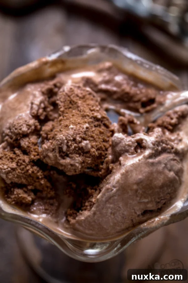 Close-up of a scoop of homemade chocolate ice cream, showcasing its smooth and inviting texture.