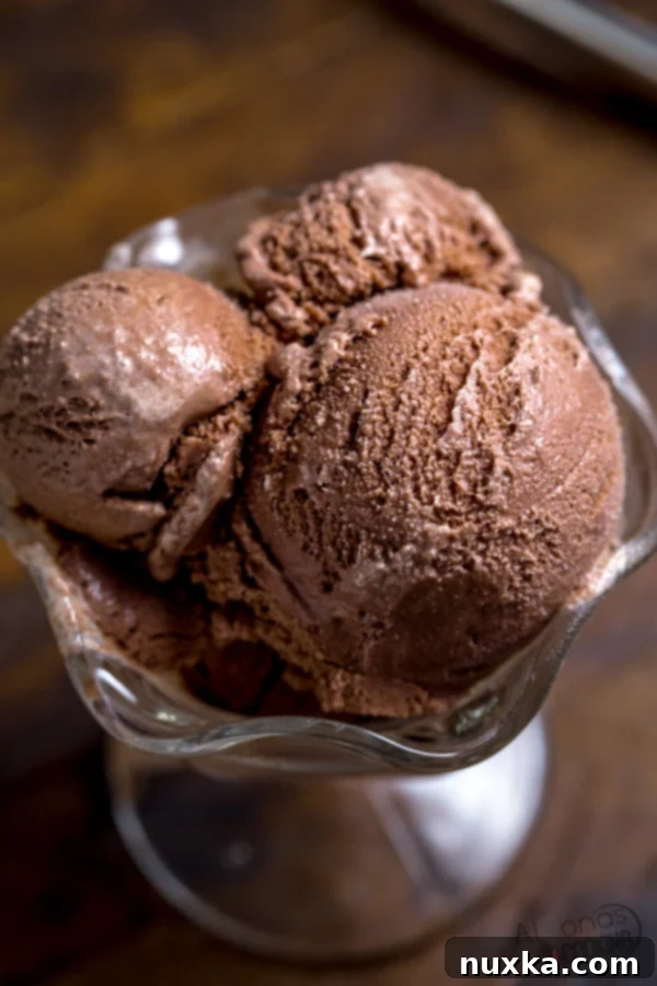A large bowl of freshly churned homemade chocolate ice cream, showcasing its soft, scoopable texture before freezing.