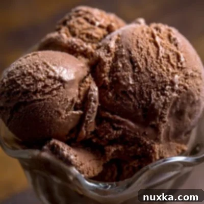 chocolate-ice-cream-recipe