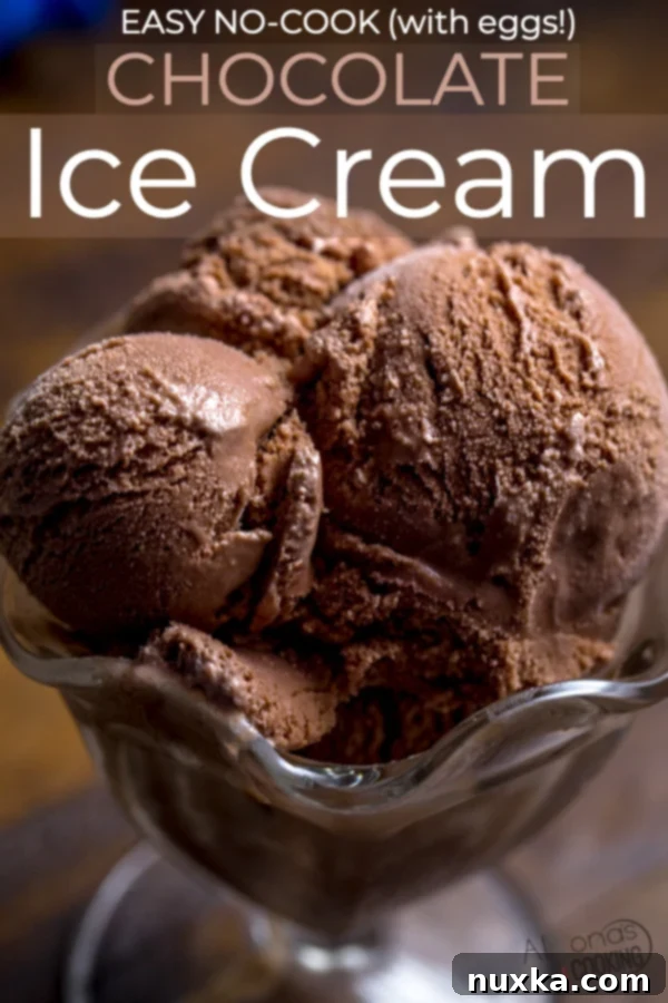 A perfectly scooped bowl of homemade chocolate ice cream with a subtle swirl, ready to be enjoyed.