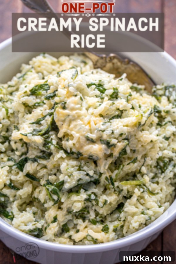 Creamy spinach rice garnished with fresh herbs