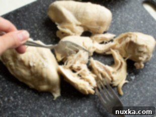 Shredded chicken in a bowl