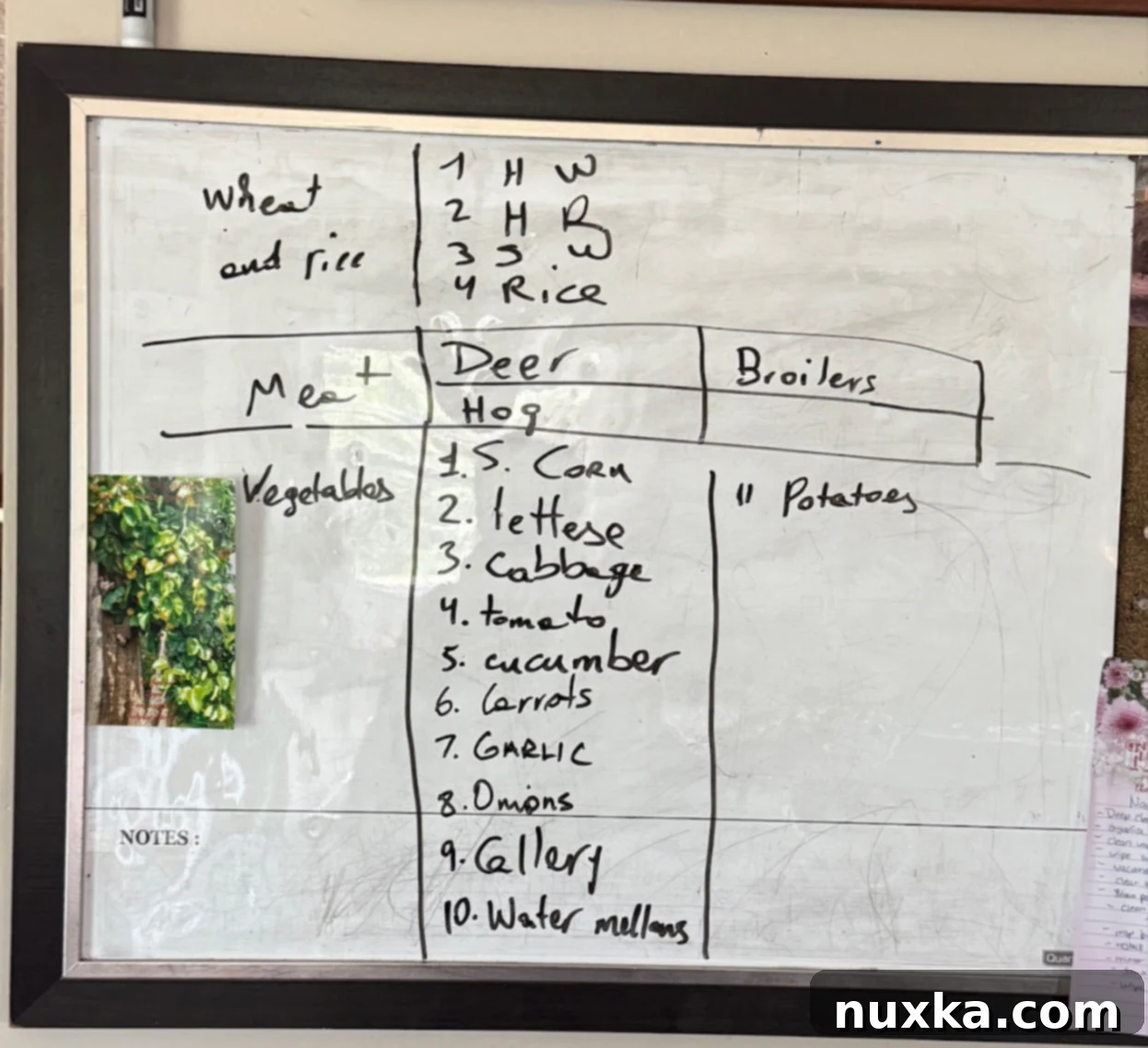 an image of Alyonas Cooking hand written food ration chart 