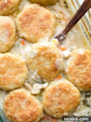Hearty chicken pot pie casserole with a golden biscuit topping in a glass baking dish