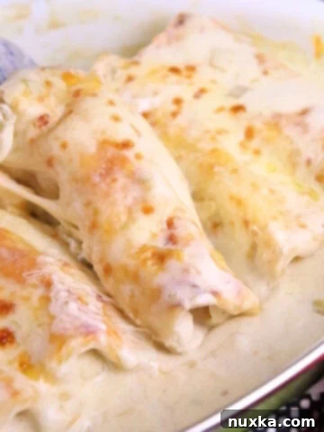 Creamy White Chicken Enchiladas baked to golden perfection